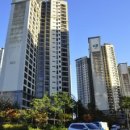 보리수약국 이미지