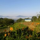 솔바람 들꽃향기 이미지