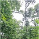 서리마을회관 이미지