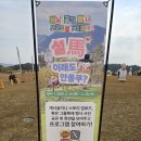 올쿠 | [순천] "애들 기운 빼기 최고!" 오천그린광장 '설마 이래도 안올쿠?' 축제 리얼 후기