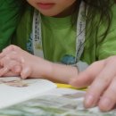 그림책티칭지도사 | [그림책지도사] 티칭 감각 키우기_어린이 그림책 지도사 14기 모집