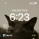 청년피자 개포점 이미지