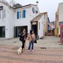 새벽식당 이미지