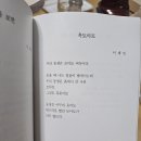 이채민의 ＜흙토마토＞ 이미지