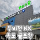 [스크린 골프] 대구 달성군 옥포 골프왕 스크린 투비전NX시스템