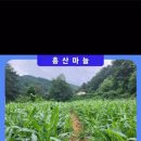 내설악농장 이미지