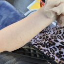 (주)레이디하우스 이미지