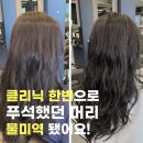 달미역 | 철산미용실 이철헤어커커 모발클리닉 후기, 물미역 머릿결 된 이유