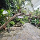 장수천한방민물장어숯불구이 | 화성 팔탄 맛집 장수천한방민물장어 숯불닭갈비 보양식 추천