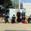 엄지애견 이미지