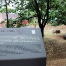 사월동 지석묘군 이미지