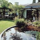 연못이 있는 집 이미지