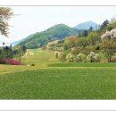 화도농산 이미지