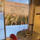 cu원주이편한점 | [원주 단계동 맛집] “강원한우곱창” 원주 곱창, 봉화산택지 곱창 맛집 방문 후기!