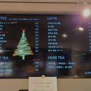 오로라애견 이미지