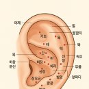 메종테라피