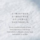 20260712 가해 연중15주일 도봉교회 설교 이미지