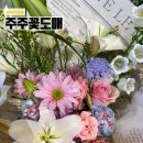 주주꽃 | 원주 무실동 꽃집 주주꽃도매 내돈내산 무인 수령후기