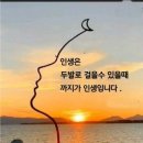 청춘 - 북구 태전동 | 청춘