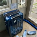 제주 여행7 | 돌고 돌아 다시 동쪽으로(애월, 제주시내, 함덕)