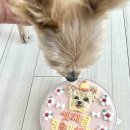 멍멍과자점 이미지