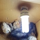 부화목장 이미지