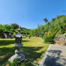 부귀 메타세쿼이아길 이미지