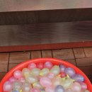 동아대 손승완 태권도장 이미지