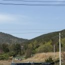 이마트24 포항중앙대식당점 | 포항 가볼만한곳, 사진맛집 곤륜산 주차 15분 등산 후 바다뷰 후기