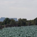 고성리-8 Daum카페