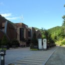 울산수목원 Daum카페