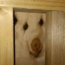 (주)하나에치디 이미지