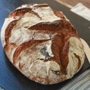 강브레드 이미지