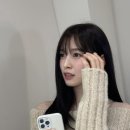 다린디자인