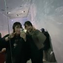 재롱이네 | 재롱이와 함께하는 대전 여행기