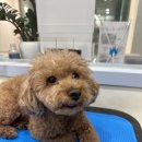 Mong's(몽'스) 이미지