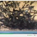 조은사료 이미지