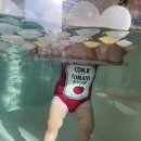 아기 실내 수영장 :: 위례 베이비온더풀 :: 감성 수영장 베이비카페 온수풀 후기