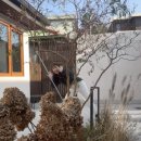 Casa de verano 이미지