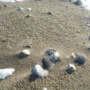 비치웨이 이미지