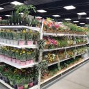 (주)이마트펜타포트점 이미지