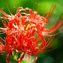 선바우농장 이미지