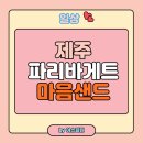 제주 마음샌드 후기 고소한 우도 땅콩크림 파리바게트 예약 솔티 캐러멜 쿠키현장구매방법