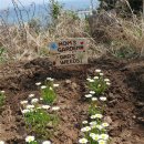 MOM’S GARDEN 이미지