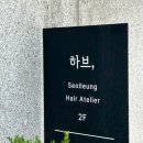 하브 선릉 이미지