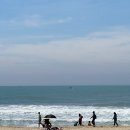 작가의 산책길 | 부산 해운대 조현화랑 이배 작가님 작품 관람 후기 &amp; 바닷가 산책