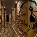 러쉬호텔 이미지