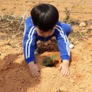 숲아띠어린이집 이미지