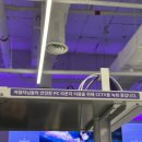 공간PC | 홍대 실내 놀거리 '원신 PC 라운지'｜ 빠져들게 되는 보라빛 공간