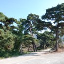 문수사 입구 이미지